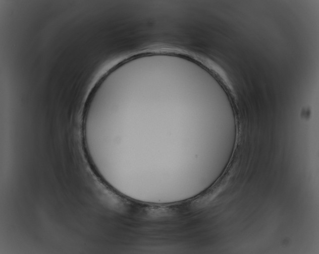 X0000090411231200707130918