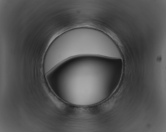 X0000090411234200707130918