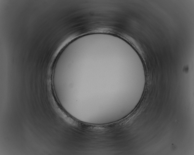 X0000090411235200707130918