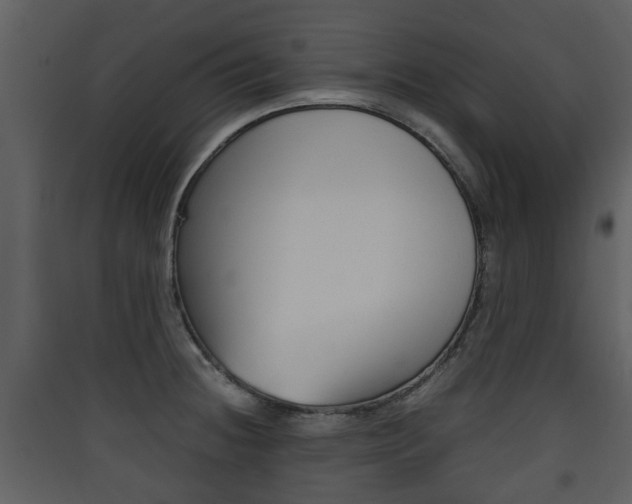 X0000090411236200707130918
