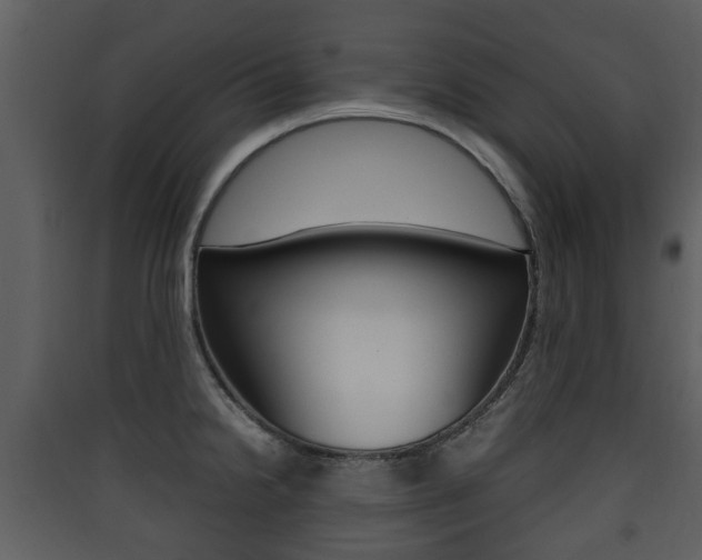 X0000090411238200707130918