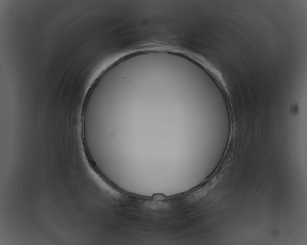 X0000090411239200707130918