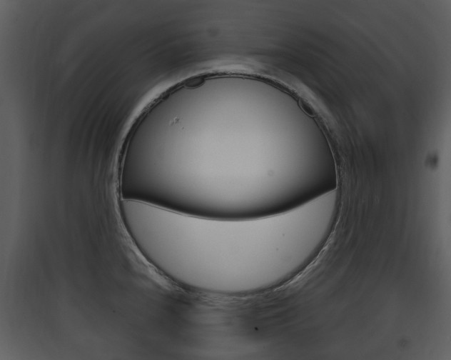 X0000090411240200707130918