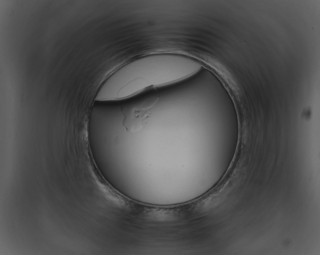 X0000090411241200707130918
