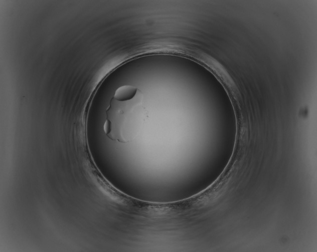 X0000090411242200707130918