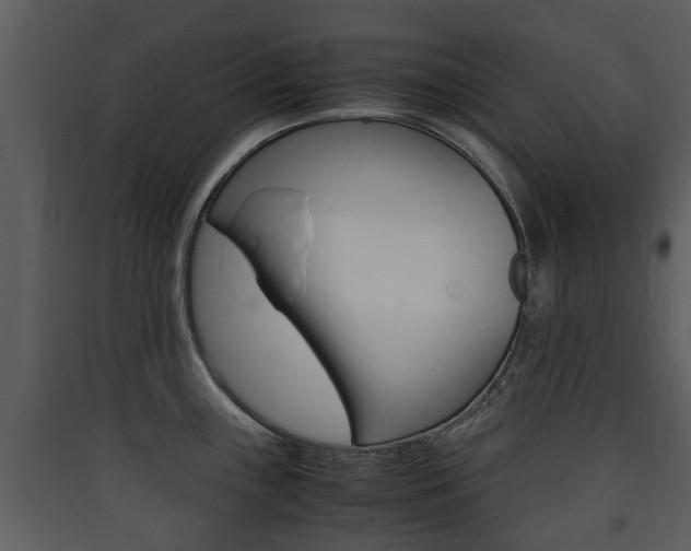 X0000090411243200707130918