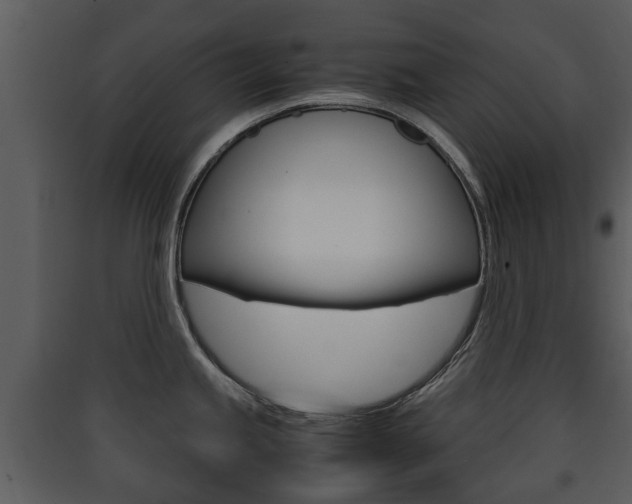 X0000090411245200707130918
