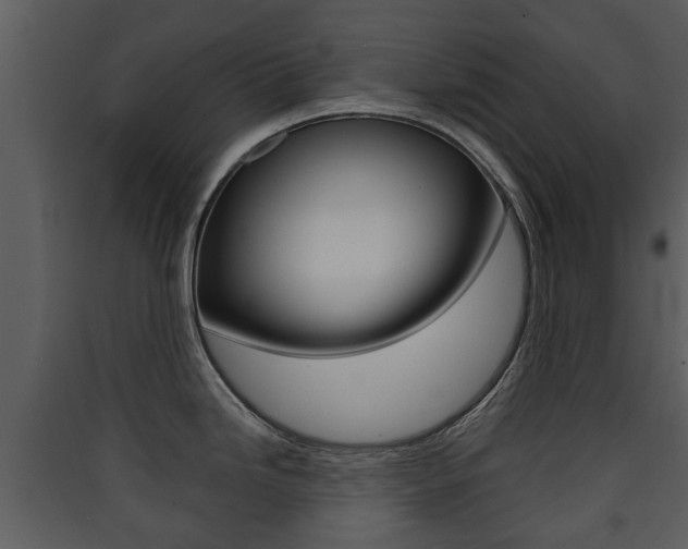 X0000090411246200707130918