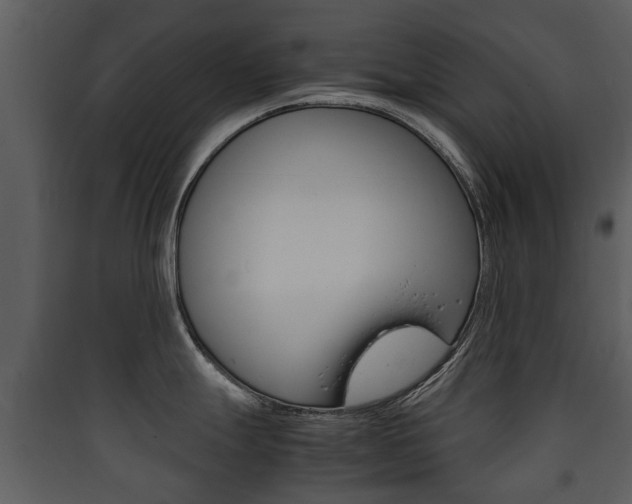 X0000090411247200707130918