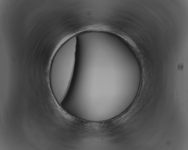 X0000090411248200707130918