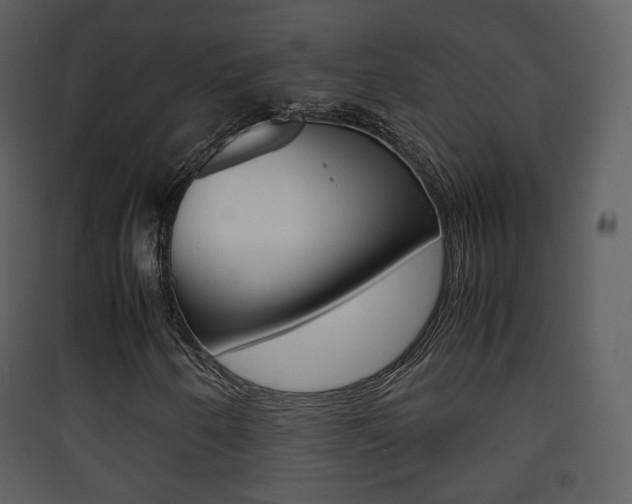 X0000090411250200707130917