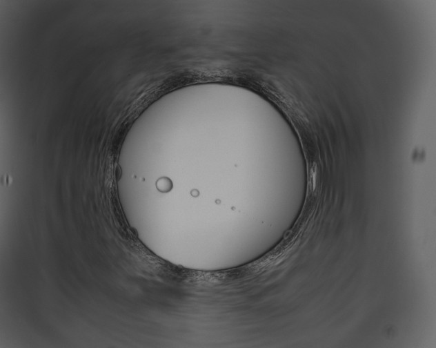 X0000090411251200707130917