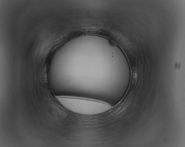 X0000090411252200707130917