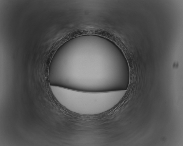 X0000090411253200707130917