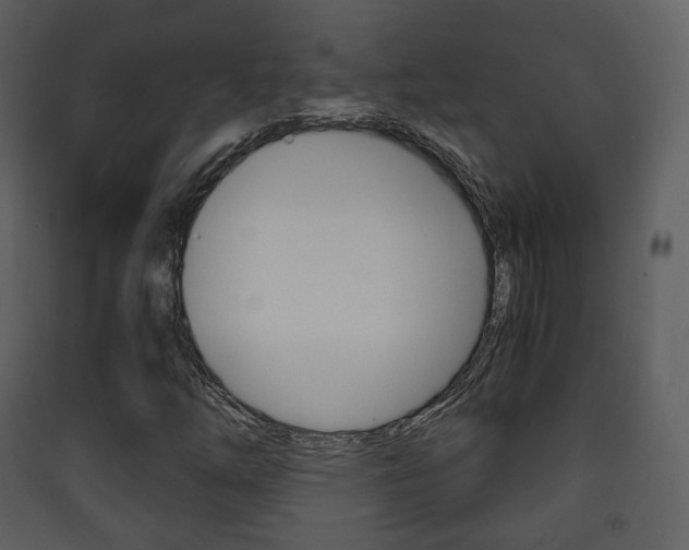 X0000090411254200707130917