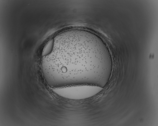 X0000090411255200707130917