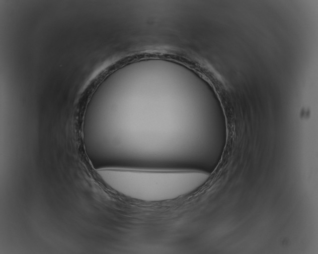 X0000090411256200707130917