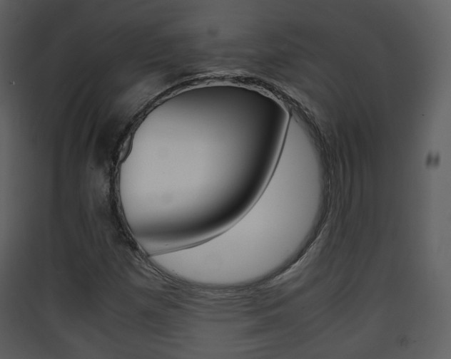 X0000090411257200707130917