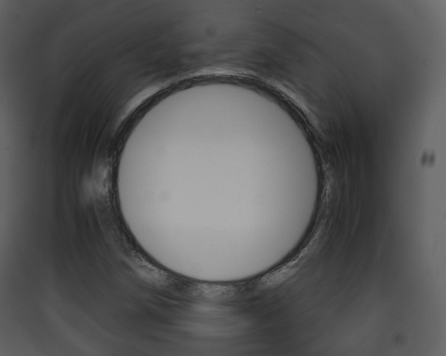 X0000090411258200707130917