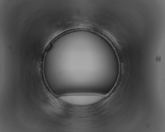 X0000090411260200707130917