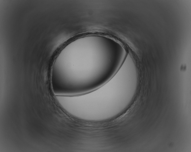 X0000090411261200707130917