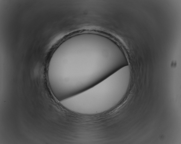 X0000090411263200707130917