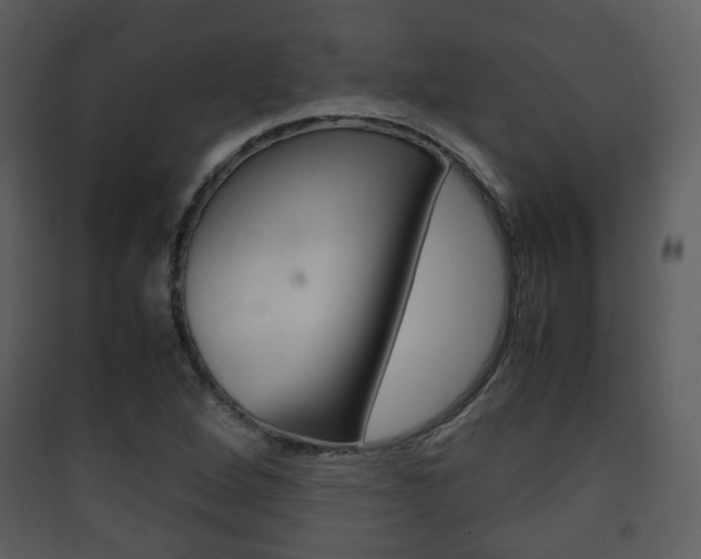 X0000090411264200707130917