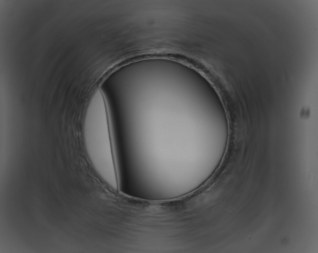 X0000090411265200707130917