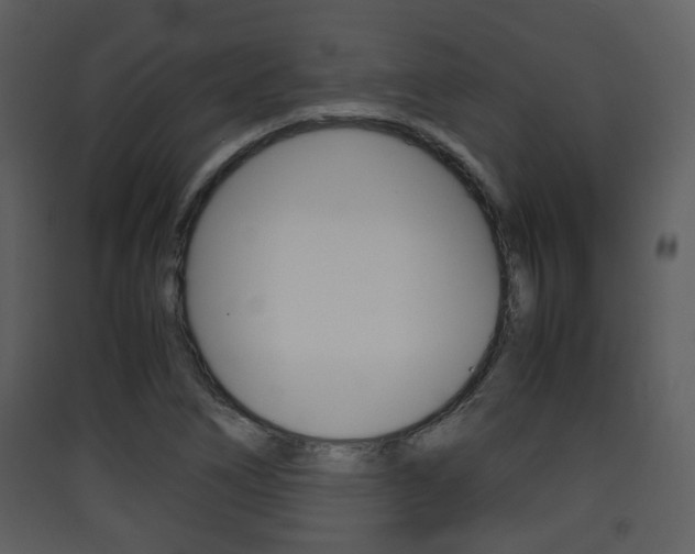 X0000090411266200707130917