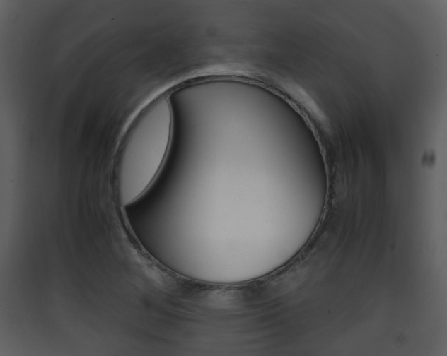 X0000090411268200707130917