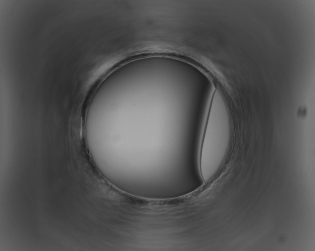 X0000090411269200707130917