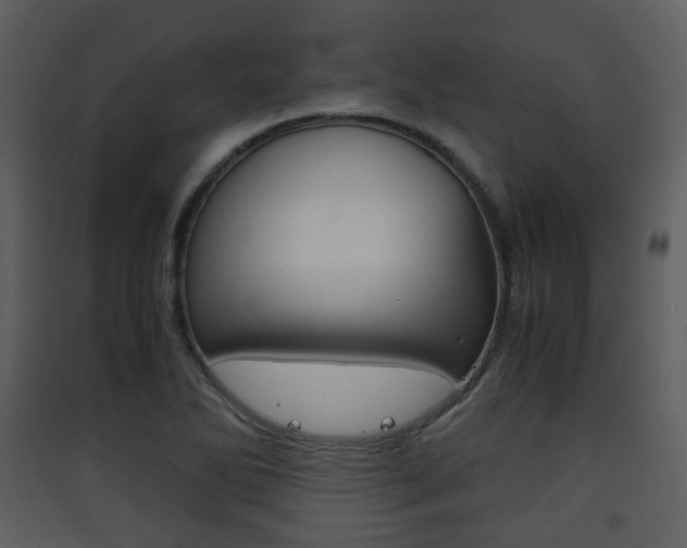 X0000090411270200707130917