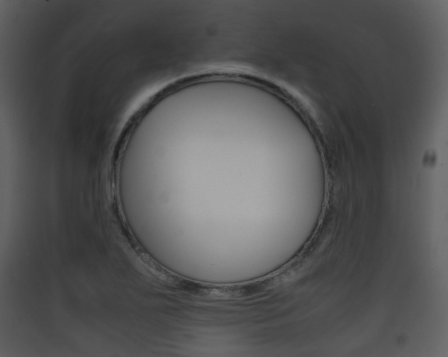 X0000090411271200707130917