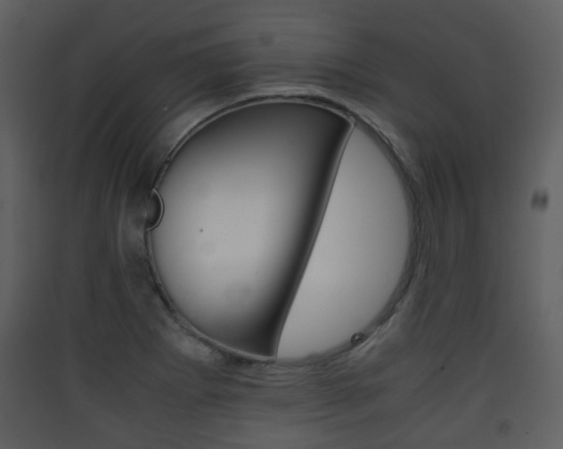 X0000090411273200707130917