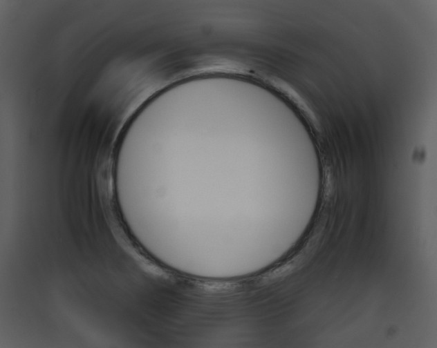 X0000090411274200707130917