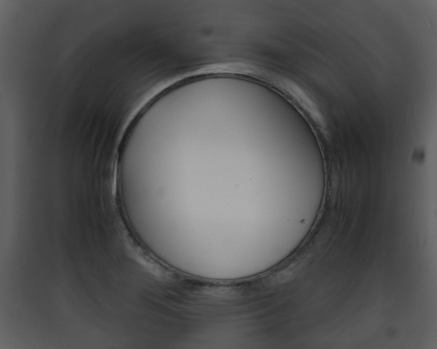X0000090411276200707130917