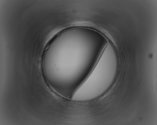 X0000090411277200707130917