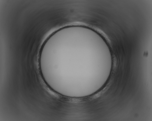 X0000090411278200707130917