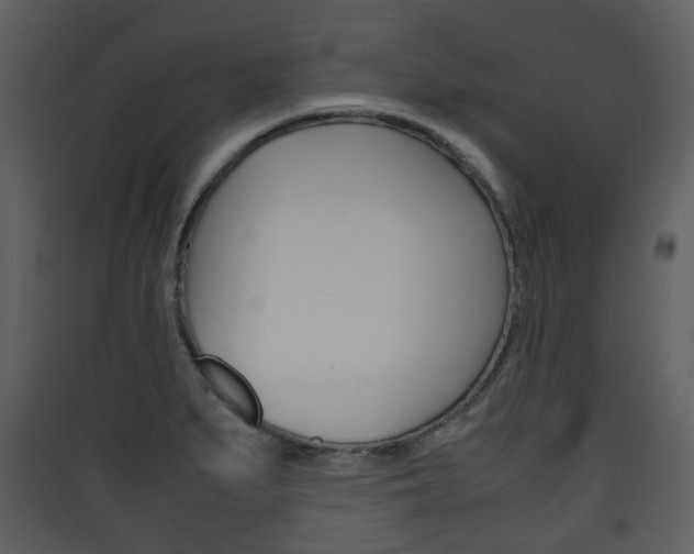 X0000090411279200707130917