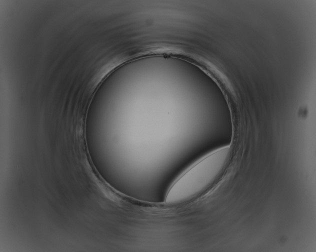 X0000090411281200707130917