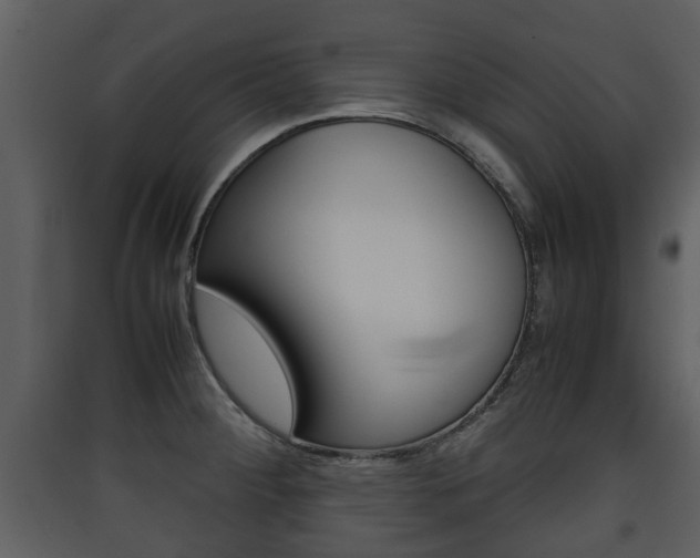 X0000090411284200707130917