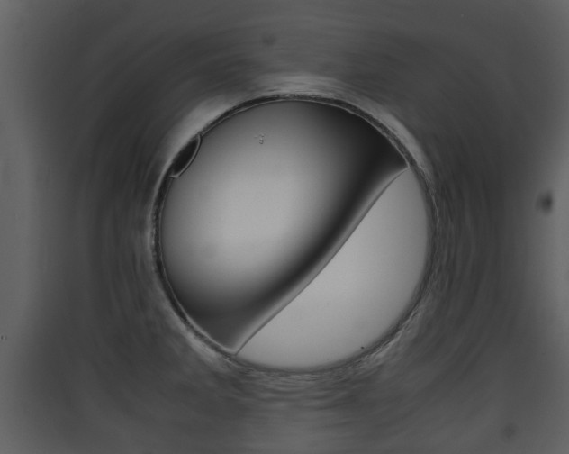 X0000090411285200707130917