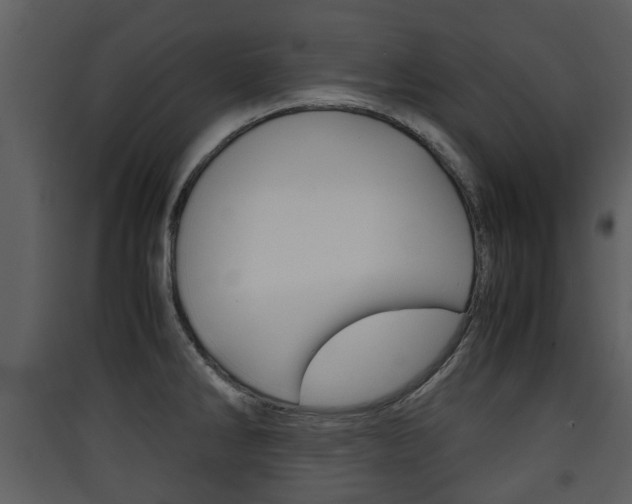 X0000090411286200707130917
