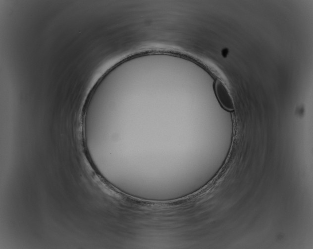X0000090411287200707130917