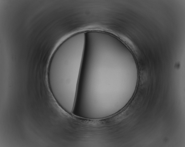 X0000090411288200707130917
