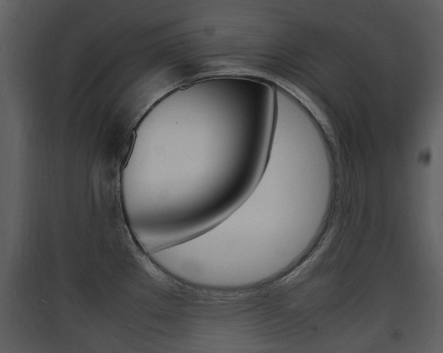 X0000090411289200707130917