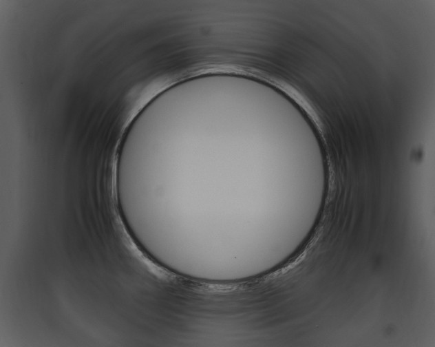 X0000090411290200707130917