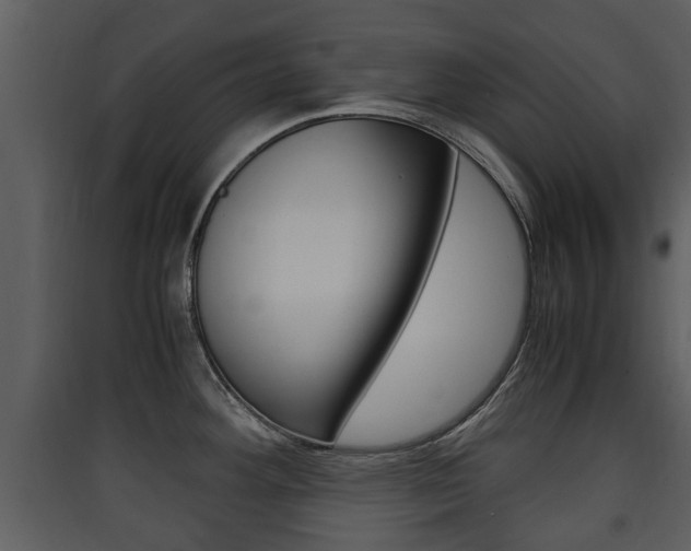 X0000090411292200707130917
