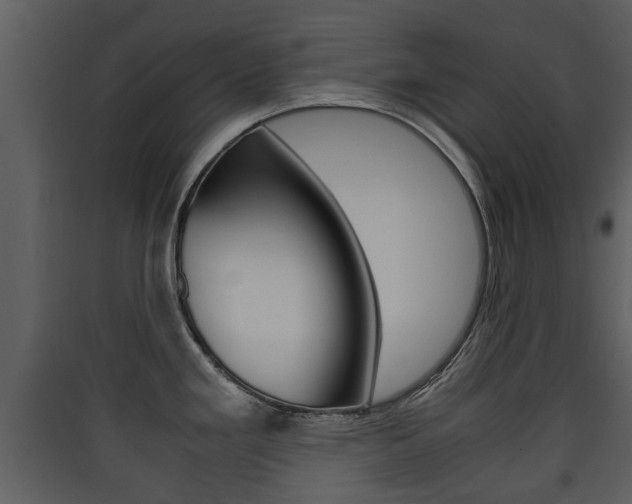 X0000090411293200707130917