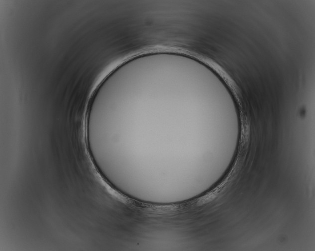 X0000090411294200707130917
